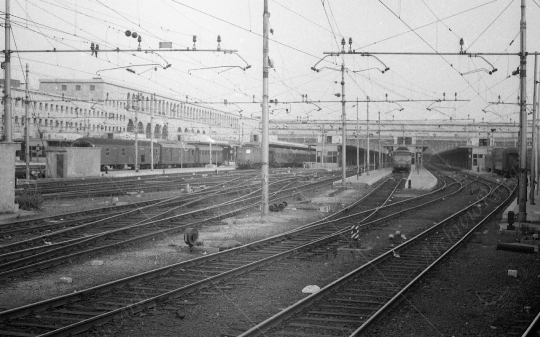 Stazione treni Roma - 117
