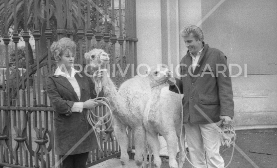 Anita Ekberg  e Franco Silva allo zoo 1964-153