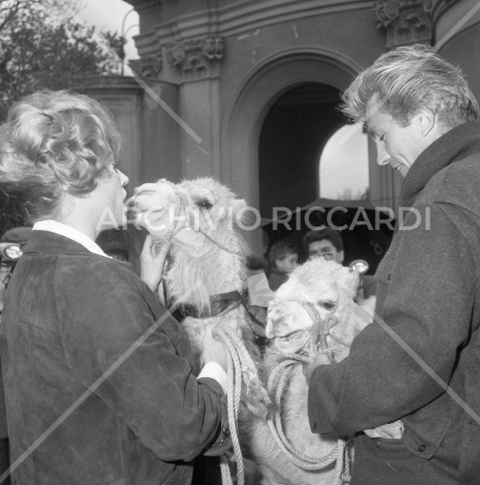 Anita Ekberg allo zoo 1964-020