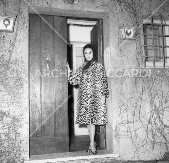 Elizabeth Taylor - 051
