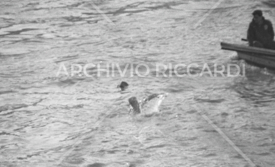 Mister Ok si tuffa nel Tevere - 1961 -538