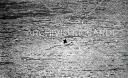 Mister Ok si tuffa nel Tevere - 1961 -540