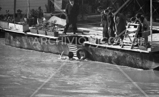 Mister Ok si tuffa nel Tevere - 1961 -543