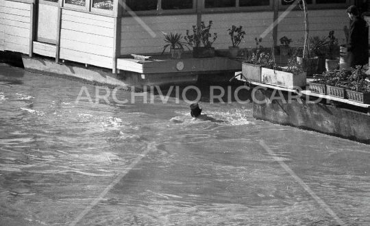 Mister Ok si tuffa nel Tevere - 1961 -544