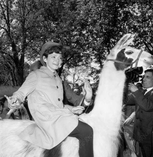 Pavone Rita allo zoo 1964 -241