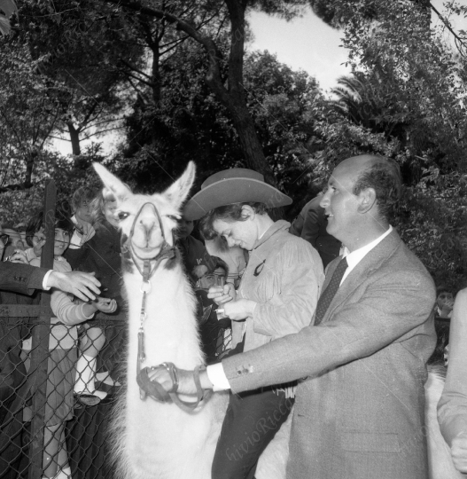 Pavone Rita allo zoo 1964 -251