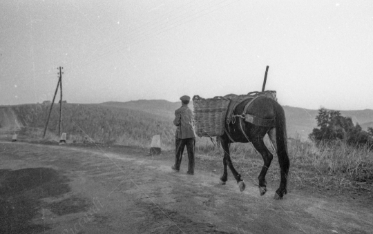 Sicilia - 059