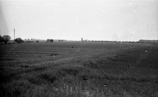 Stazioni ferroviarie anno 1972 - 098