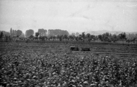 Stazioni ferroviarie anno 1972 - 108