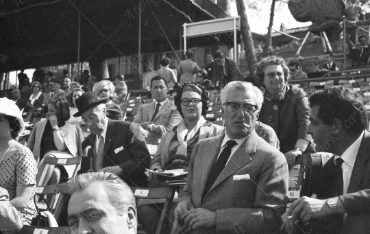 Vittorio De Sica 1963046 - 252